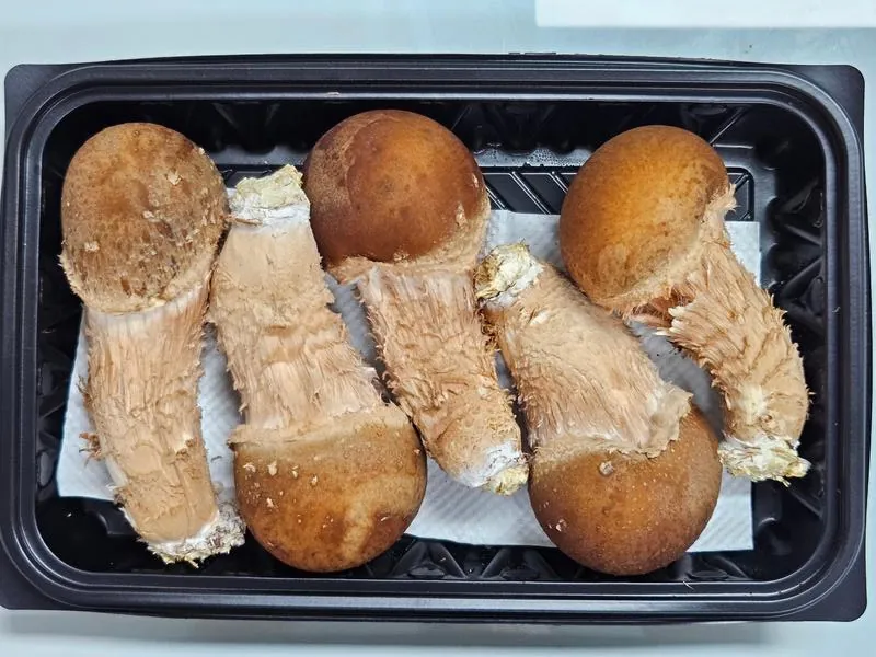 특품 참송이 포장